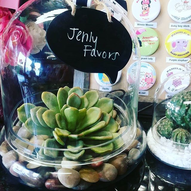 Terrarium Cloche Glass Cover Dome centerpiece
