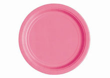  9" Hot Pink Paper Plates(16 Pieces)