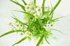 Artificial Phlox & Oats Mix Silk Flower Bush Cream