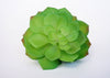 Artificial Echeveria Succulent in Green -1 Piece (4“ x 8")