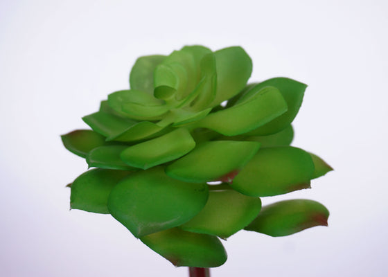 Artificial Echeveria Succulent in Green -1 Piece (4“ x 8")