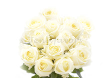  Artificial Silk Valentine Cream Roses Single Stem Flowers (12 pieces)