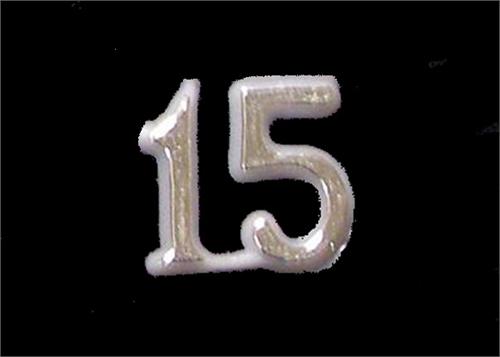 15 Quinceanera Silver Plastic Charm (144 Pcs)
