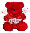 15" Musical Valentine Bear Red with I Love You Heart and Light Up Cheek (1 Piece)