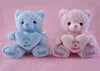 Baby Shower Teddy Bear Plush (1 piece)Pink