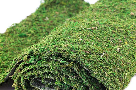 Instant Green Preserved Moss Mat by Bloom Room