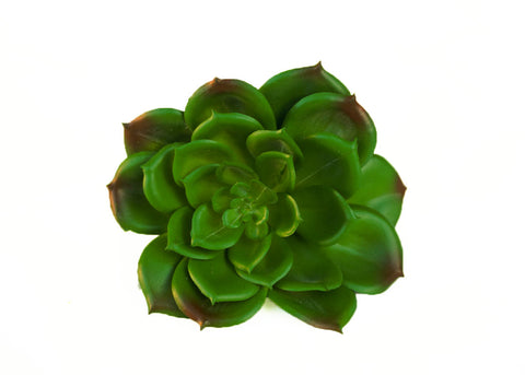 Artificial Echeveria Succulent-1 Piece (5“ x 7")