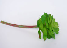  Artificial Echeveria Succulent in Green -1 Piece (4“ x 8")