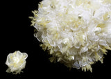 Ivory Organza & Satin Rose Bud (120 Flowers)