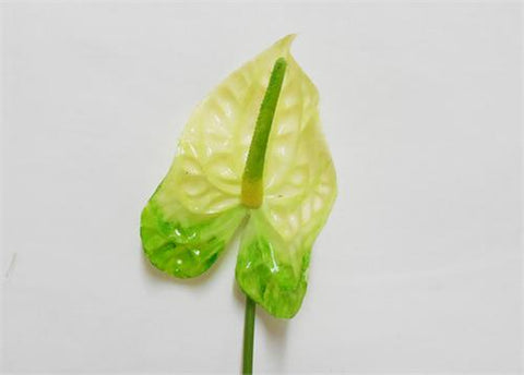 20" Green/White Plastic Single Stem Anthurium (12 Pieces)