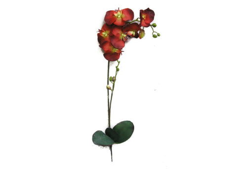 Orchid Phalaenopsis Spray with leaves - Red - 1piece