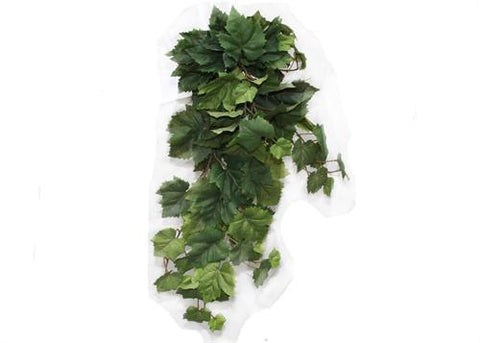 Green Deluxe English Ivy Bush (1 Piece)