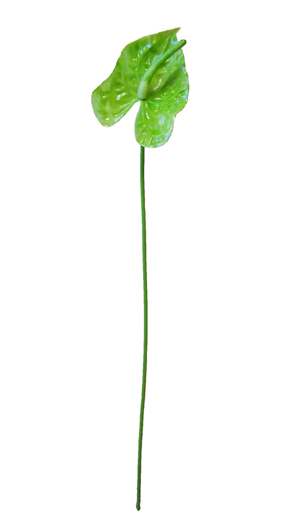 20" Green Plastic Single Stem Anthurium (12 Pieces)