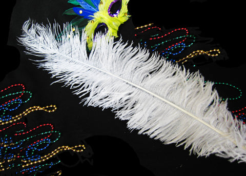 18 - 24 Inches Ostrich Dyed White Feather (1 Piece)