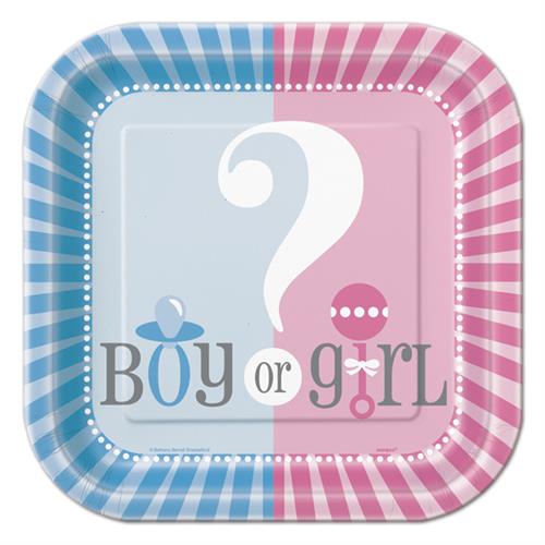 7" Girl or Boy Gender Reveal Baby Shower Party Paper Plates 10 Pieces