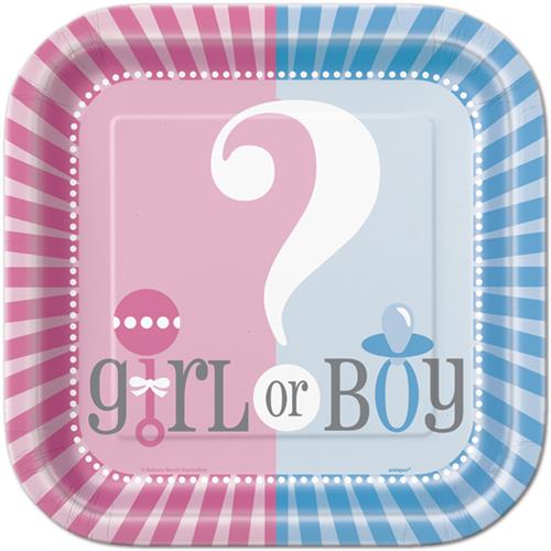 9" Girl or Boy Gender Reveal Baby Shower Party Paper Plates 8 Pieces