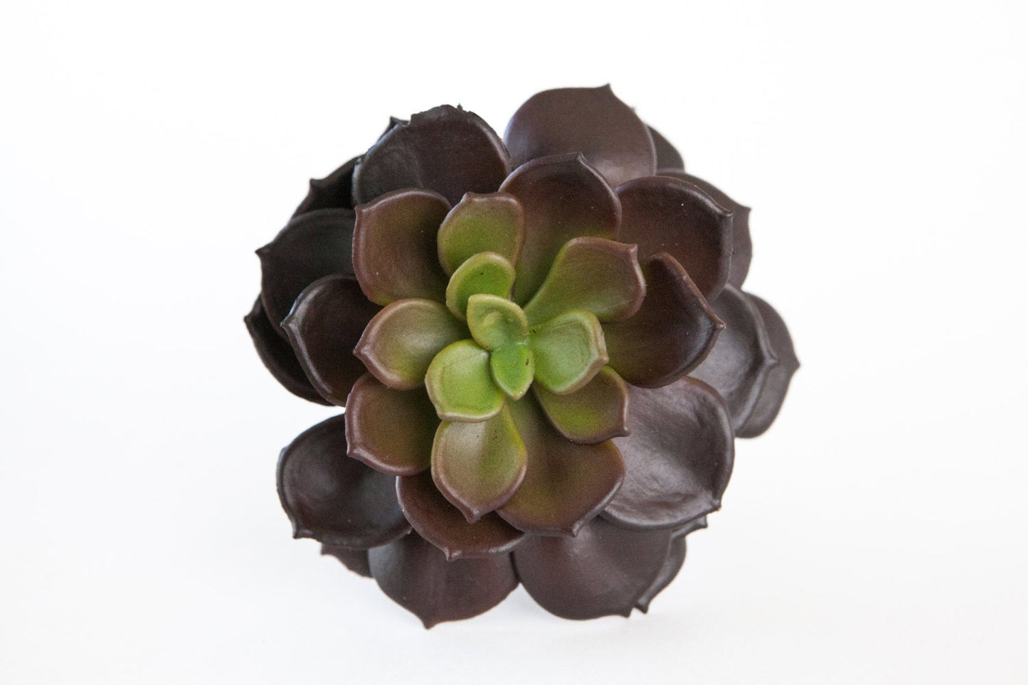 Artificial Echeveria Succulent in Burgundy Plum